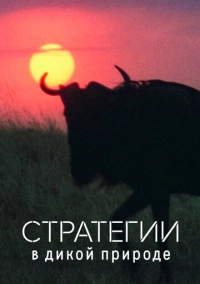 Стратегии в дикой природе (2022)