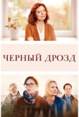 Чёрный дрозд (2019)