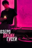 Озеро диких гусей (2019)
