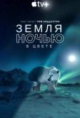 Земля ночью в цвете (2020)
